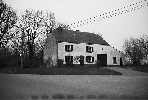 Rauch 2