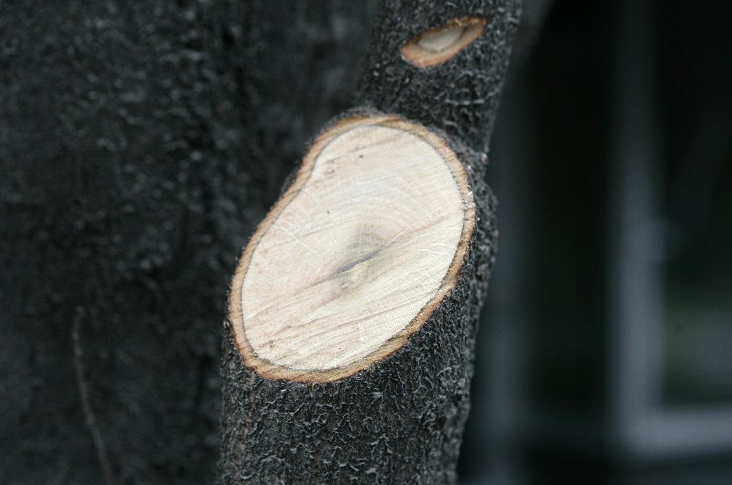 Ivan Posavec; Rane - Centar za kulturu