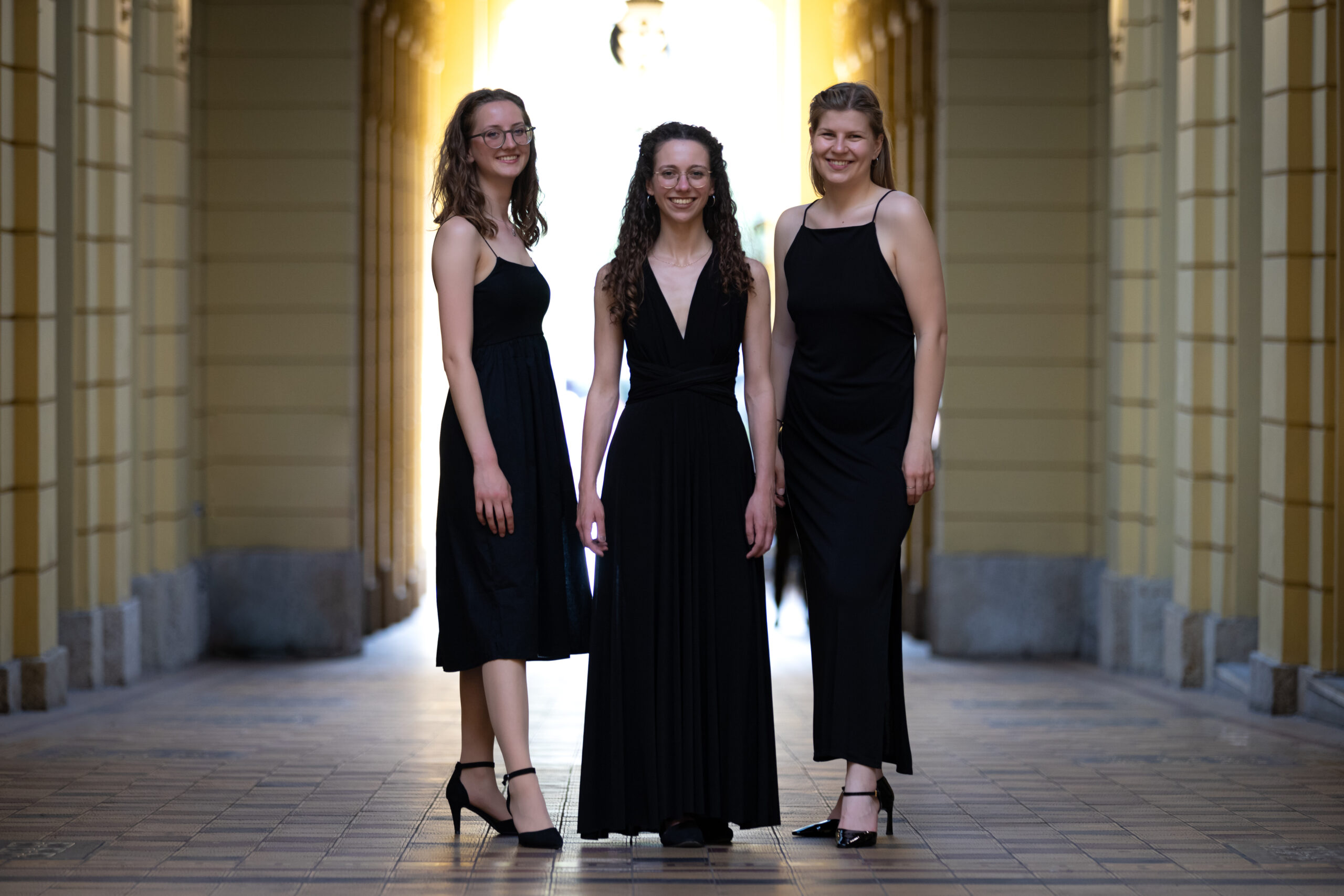 centar za kulturu novi zagreb trio neo koncert novi val klasike koncert klasične glazbe galerija vladimir bužančić